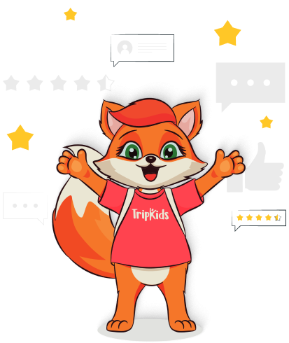 feedback image